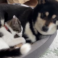 腕をカミカミ