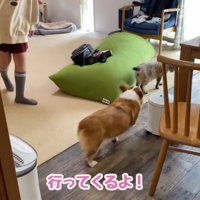 お見送りする気なし？