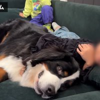 寄り添ってゴロゴロ♡