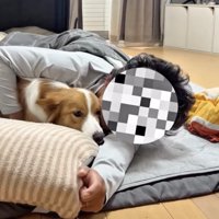 パパ、たまらずナルくんをハグ