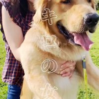 大きなベイリーちゃん