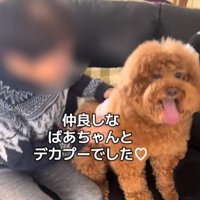 本当の祖母と孫のよう♡