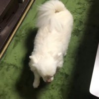 ルンルンでお風呂場へ移動♪