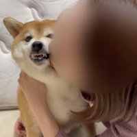 ツンデレ発動中