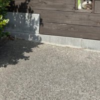 水やり