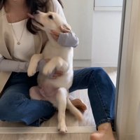 大好きな人との再会を喜ぶ虎丸くん7