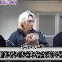 メンバーと犬
