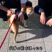 優しくナデナデしてくれた♡