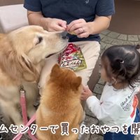 待ちに待ったおやつタイム♪