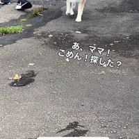 ぶん太くんとパパさんのお散歩5