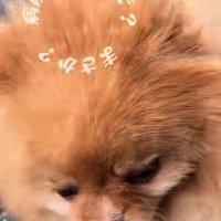 「この道は…もしかして…」