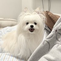 笑顔