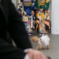 リングドッグにも挑戦