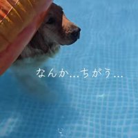 「なんでこんなことに…」