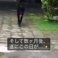 里親さんが決まった