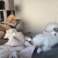 「本当にいい寝場所だね」