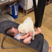 赤ちゃんに乗っちゃった！
