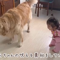 「パパを独り占めしないで！！」