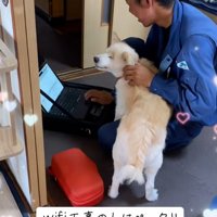 嬉しそうなモップさん