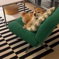 「そっちから来てね？」