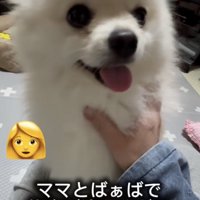 ママに撫でられ中