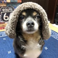 長い間頑張りました