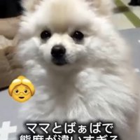 スマイルは何処へ