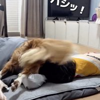尻尾を顔面に叩きつけます