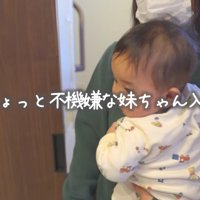 わんこの部屋に行ってみると…