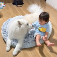 一緒