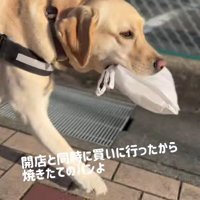 焼きたてのうちに届けたい♪