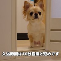 「早く上がって！」と催促