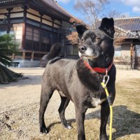 凛々しい姿が素敵！