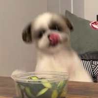 大興奮