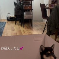 「あるサプライズ」