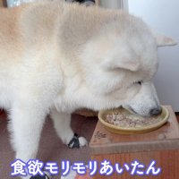 食欲も旺盛♪