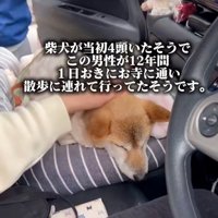 撫でられるクッキーちゃん%年もの間、男性がお世話をしていました