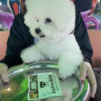 ちょっとだけ回してみます
