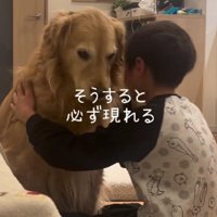 なぐさめるように寄り添い