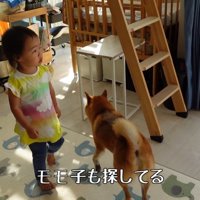おもちゃを探す2人