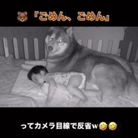 「危なかったけどセーフだよ」