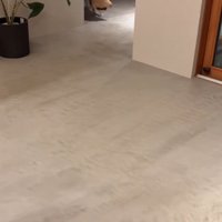 帰宅に気づいた長三郎くん