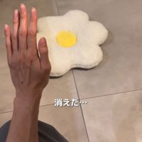 飼い主の前から姿を消す子犬
