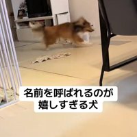 名前を呼ばれた時のリックくん8