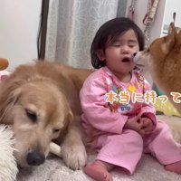 催促するうにくん