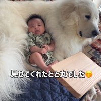 「赤ちゃんは僕が守るよ」