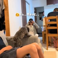 帽子で目を隠す女の子