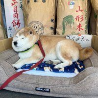 こんなお店行ってみたい…！！