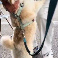 全身で好きアピール