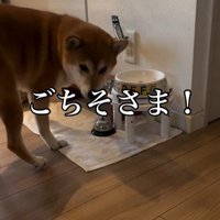 お姉ちゃん帰宅時のけいちゃん9